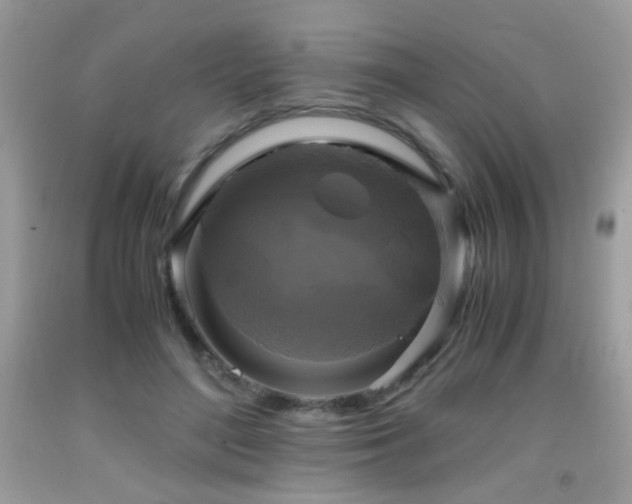 X0000091920500200709051443