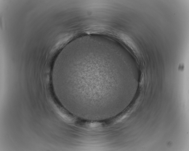 X0000091920501200709051443