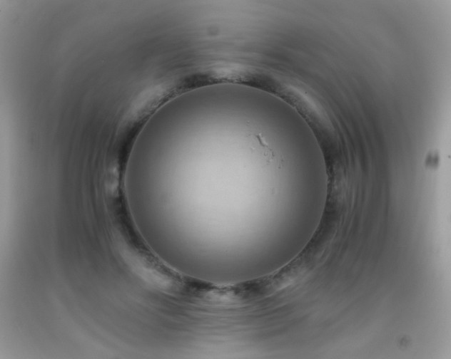 X0000091920502200709051443