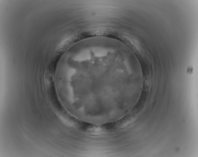 X0000091920503200709051443