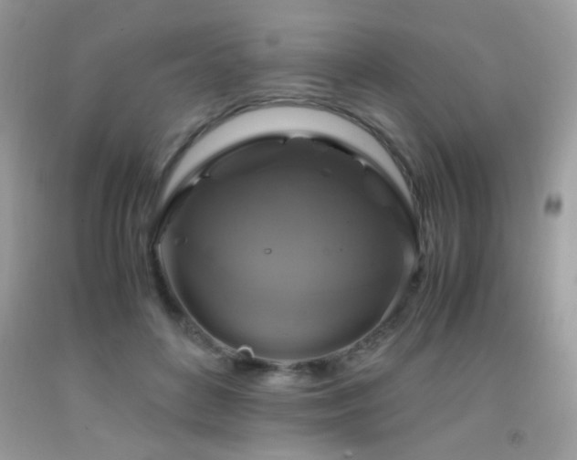 X0000091920504200709051443