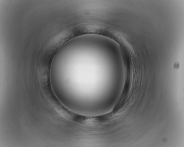 X0000091920505200709051443