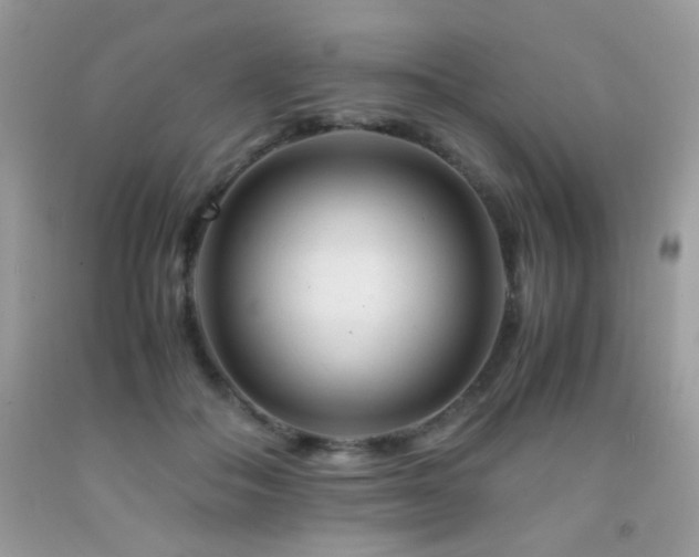 X0000091920506200709051443