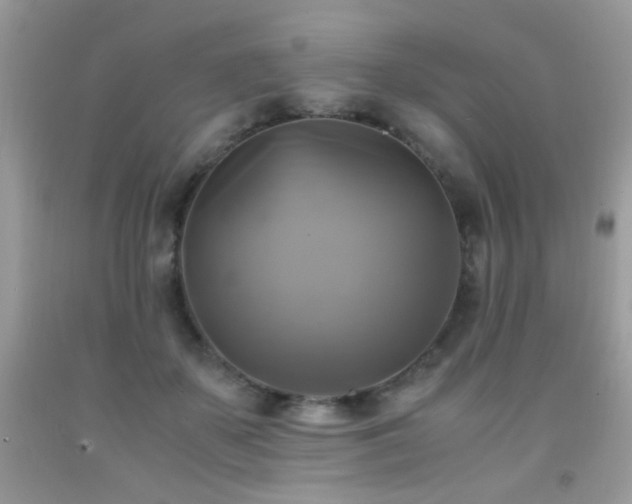 X0000091920507200709051443