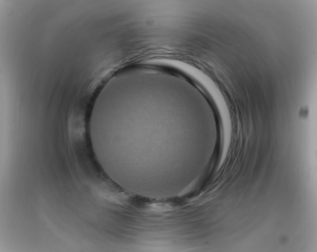 X0000091920508200709051443