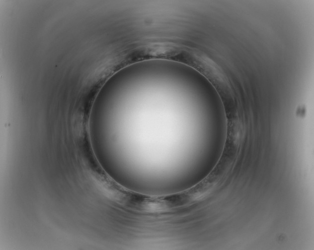 X0000091920510200709051443
