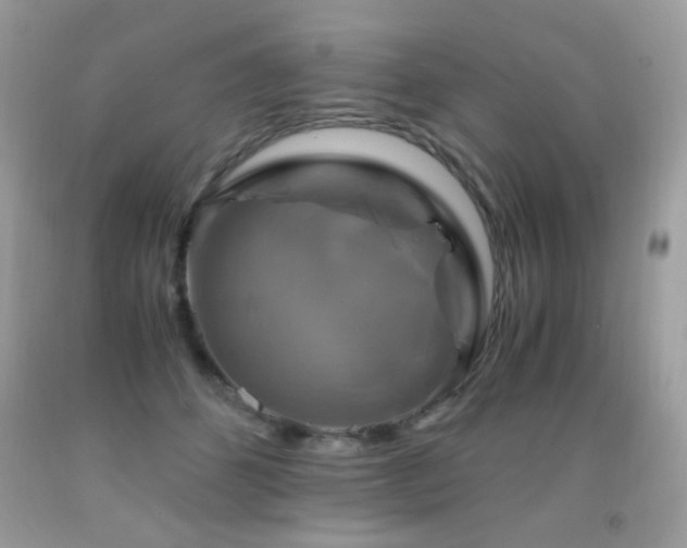 X0000091920512200709051443