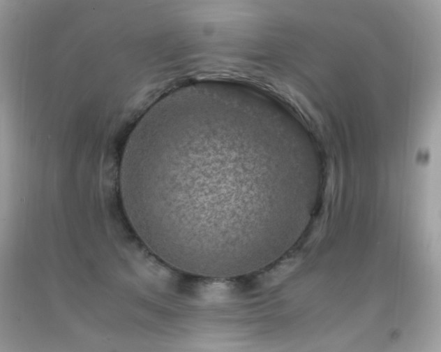 X0000091920513200709051443