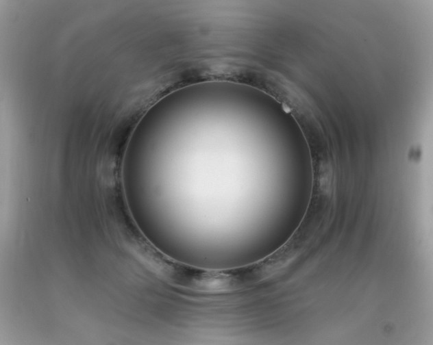 X0000091920514200709051443
