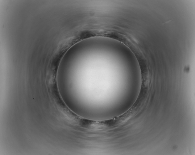X0000091920515200709051443