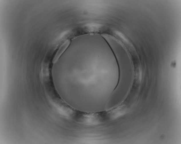 X0000091920516200709051443