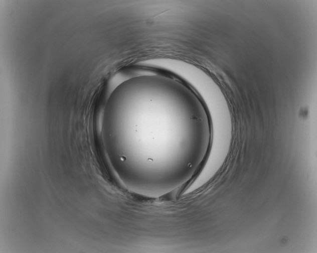 X0000091920517200709051443