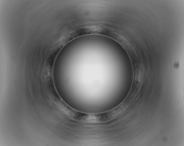 X0000091920518200709051443