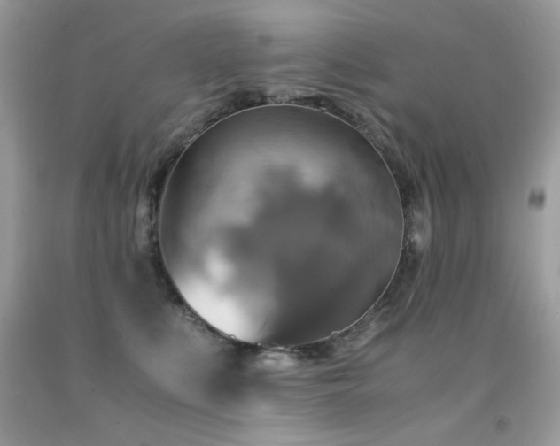 X0000091920519200709051443