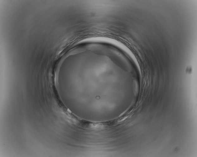 X0000091920520200709051443