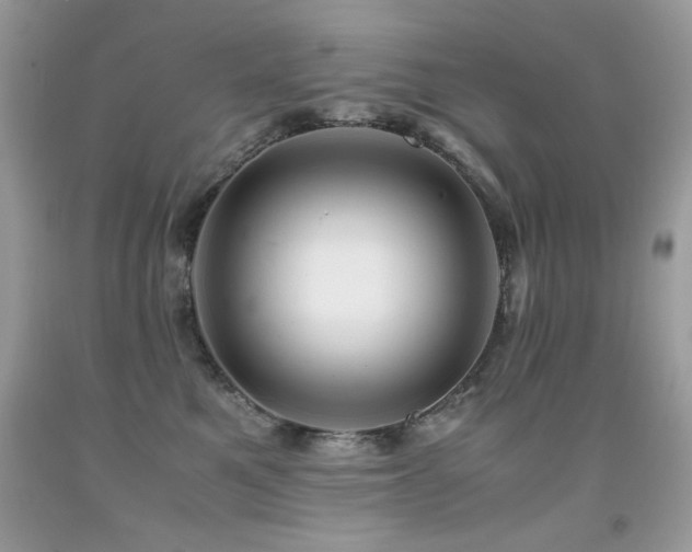 X0000091920521200709051443