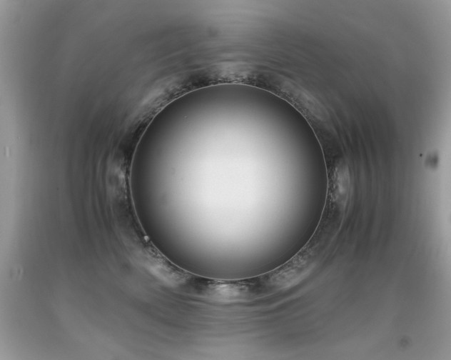 X0000091920522200709051443