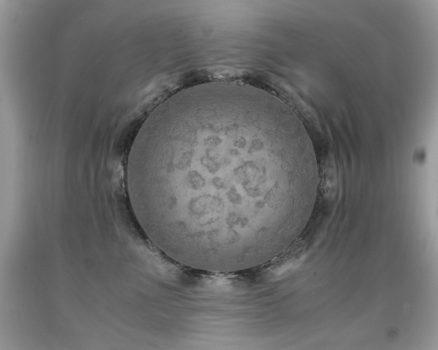 X0000091920523200709051443