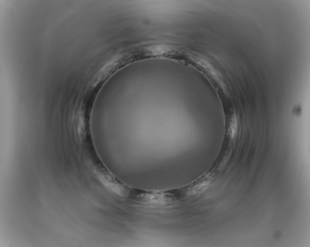 X0000091920524200709051443