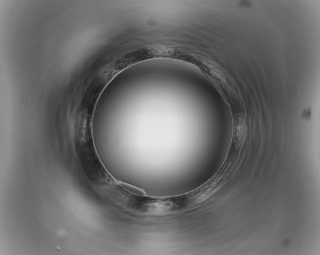X0000091920525200709051443