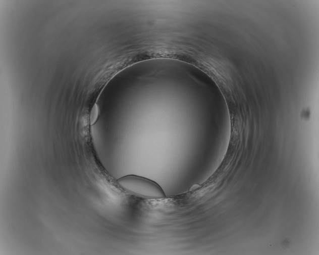 X0000091920526200709051443