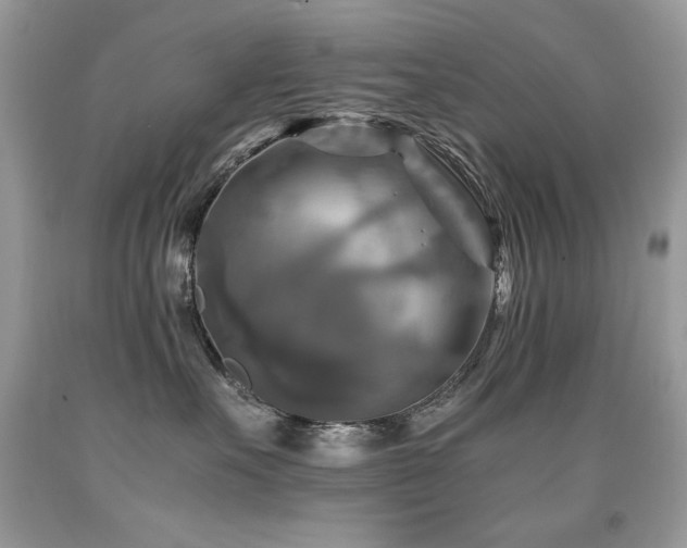 X0000091920527200709051443