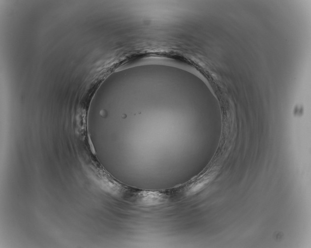 X0000091920528200709051443