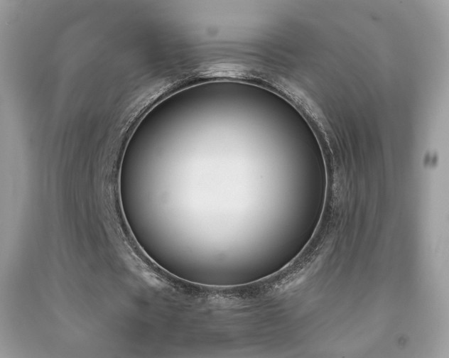 X0000091920529200709051442