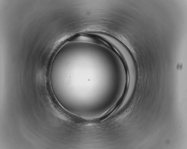 X0000091920530200709051442