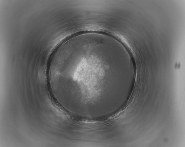 X0000091920531200709051442