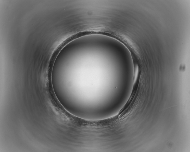 X0000091920532200709051442
