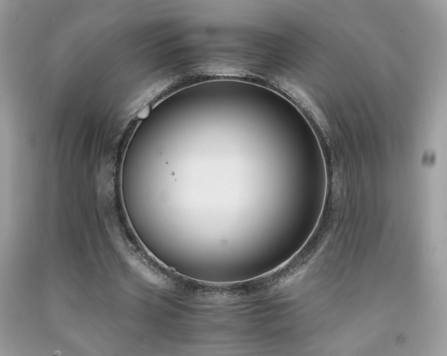 X0000091920533200709051442