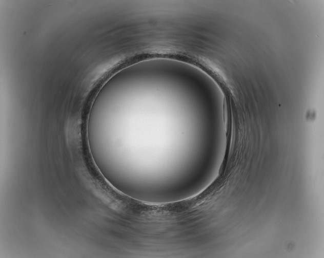 X0000091920535200709051442