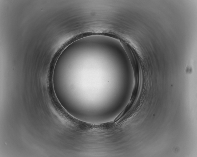 X0000091920536200709051442