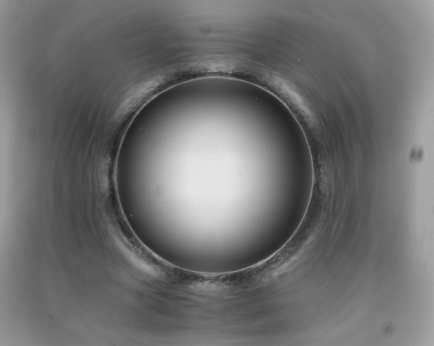 X0000091920537200709051442