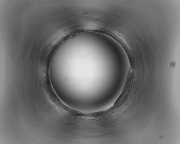 X0000091920539200709051442