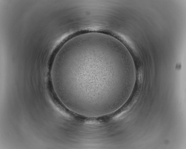 X0000091920540200709051442