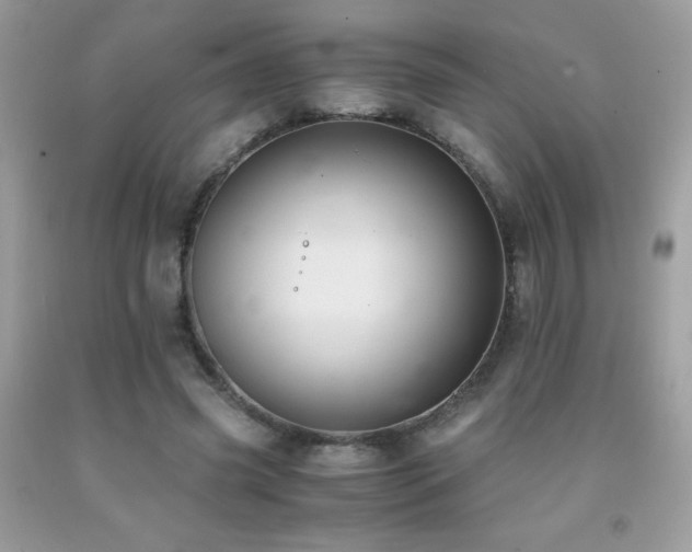 X0000091920541200709051442