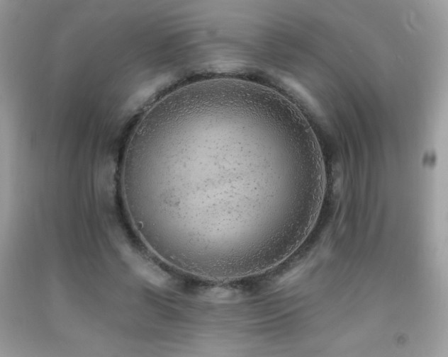 X0000091920542200709051442