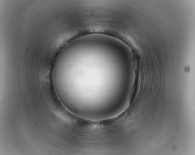 X0000091920543200709051442