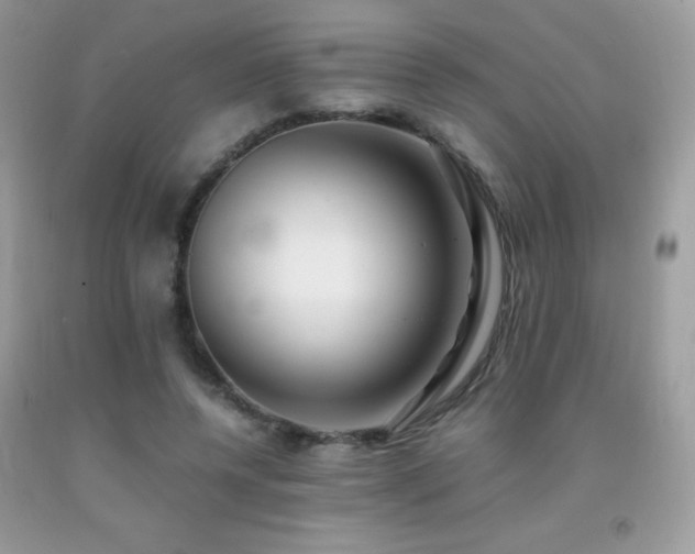 X0000091920544200709051442