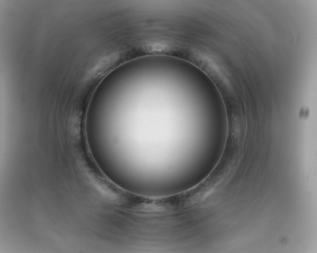 X0000091920545200709051442
