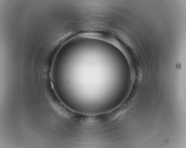 X0000091920546200709051442