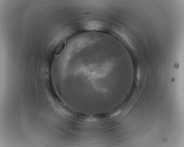 X0000091920547200709051442