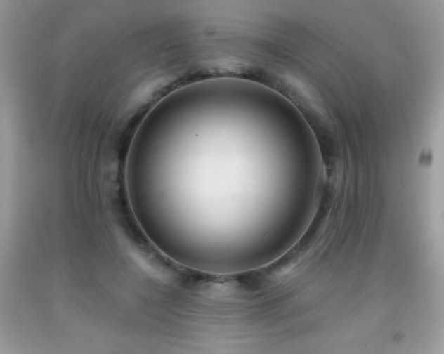 X0000091920548200709051442