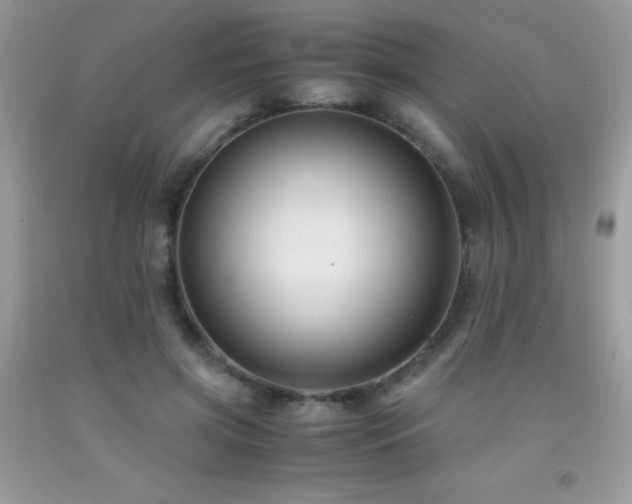 X0000091920549200709051442