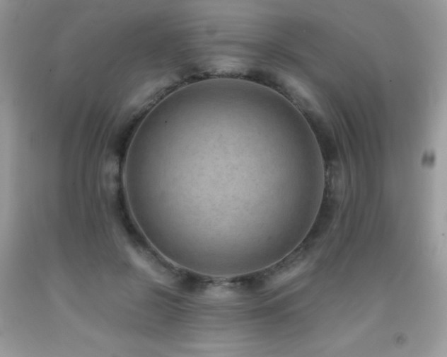 X0000091920550200709051442