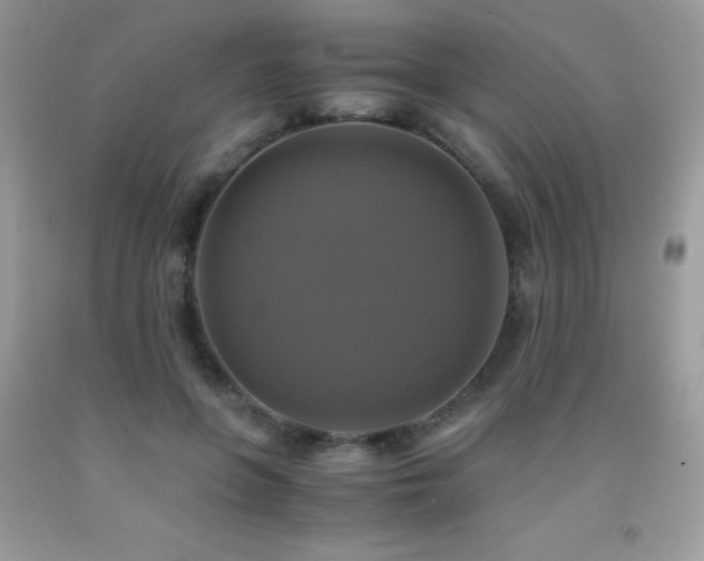 X0000091920551200709051442