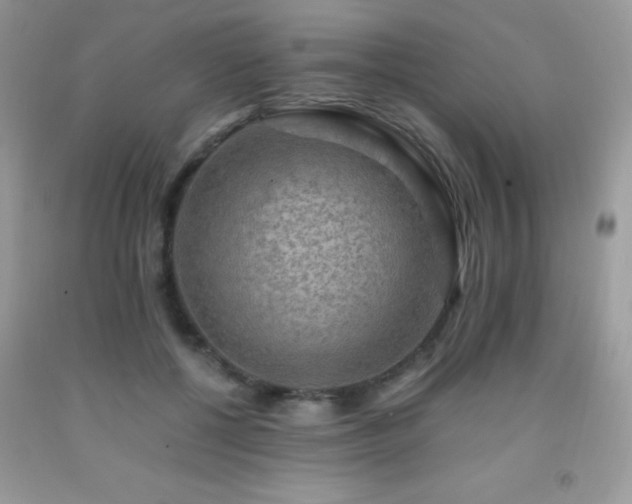 X0000091920552200709051442