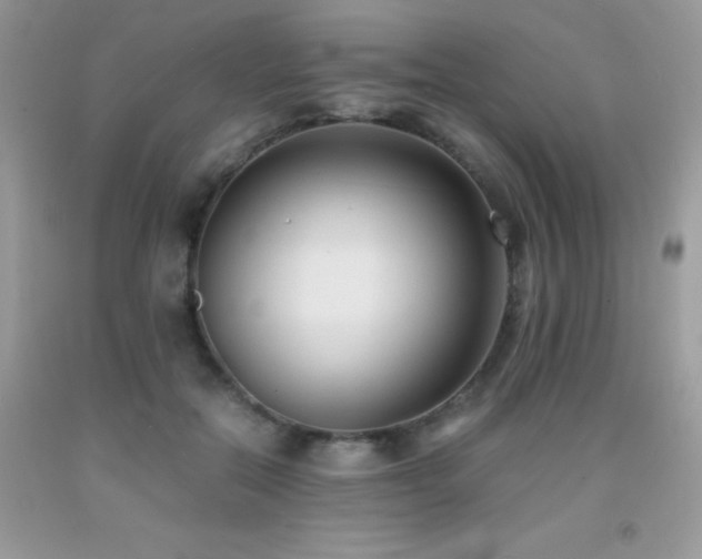 X0000091920554200709051442